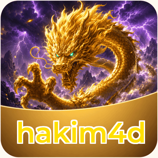 Executive Summary - hakim4d Testing Results